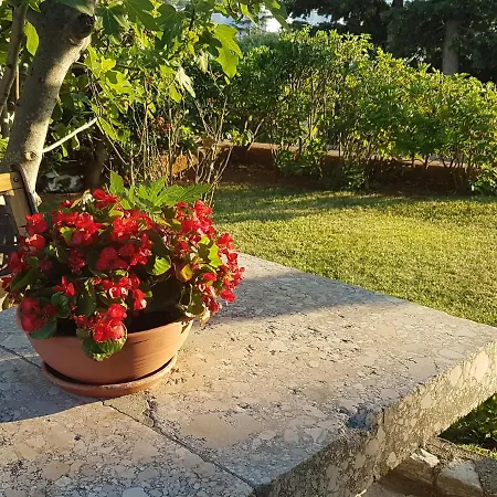 Appartement Casa Croatia Punat