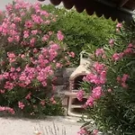 Apartmán Casa Croatia Punat