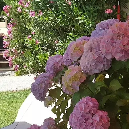 Casa Croatia شقة *