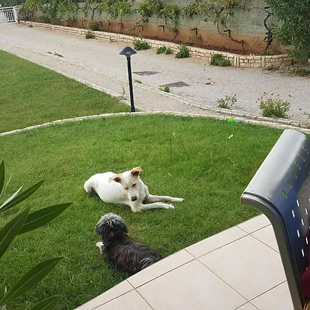 Casa Croatia بونات