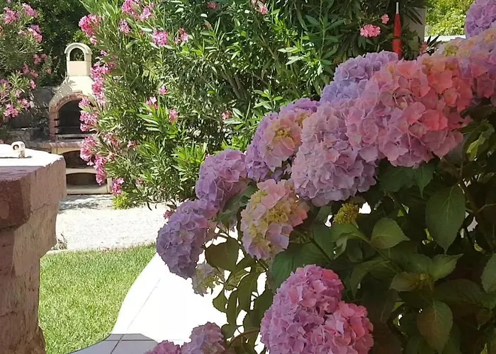 Casa Croatia Apartman *